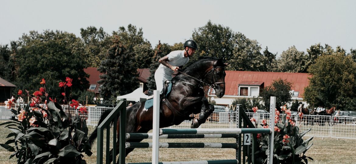 horse_jumping
